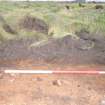 Evaluation photograph, N facing section taken from N, Soutra Quarry Extension, Humbie, Borders