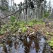 View of remaining structure foundation (flooded) from the south-west on Rory MacInnis property, Rear Beaver Cove, Cape Breton, Nova Scotia