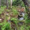 View north showing central chimney foundation surrounded by flooded root cellar on Rory MacInnis property, Rear Beaver Cove, Cape Breton, Nova Scotia