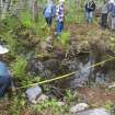 View west of flooded foundation and remains of central chimney on Rory MacInnis property, Rear Beaver Cove, Cape Breton, Nova Scotia
