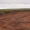 Watching Brief photograph, General view of stripped area not monitored (taken from N), Soutra Quarry Extension, Humbie, Borders