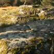 View of cup marked rock from SE