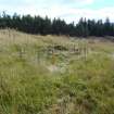 Watching Brief photograph, Borrow pit taken from NE, Edston Quarry, Scottish Borders