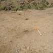 Watching Brief photograph, Pits post-excavation sectioned taken from S, Edston Quarry, Scottish Borders
