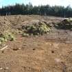 Watching Brief photograph, Pit cuts post-excavation taken from W, Edston Quarry, Scottish Borders