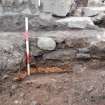 Excavation photograph, Detail of daub, Paisley Abbey, Renfrewshire