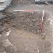 Excavation photograph, Detail of S section after cleaning, Paisley Abbey, Renfrewshire