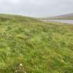 Loch Scolpaig, view of undated old shoreline on N side of Loch Scolpaig.