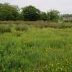 Watching Brief photograph, General view of Scheduled area taken from SW, Five Jays, Cleghorn, South Lanarkshire