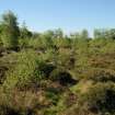 Watching Brief photograph, Scrubland within Scheduled area taken from NE, Five Jays, Cleghorn, South Lanarkshire