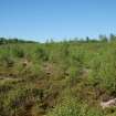 Watching Brief photograph, Scrubland to north of Scheduled area taken from SE, Five Jays, Cleghorn, South Lanarkshire