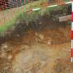 Excavation photograph, NE facing section (middle) taken from NE, Keas Cottage, Spinningdale, Highlands