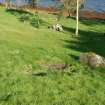 Excavation photograph, Nearby stone and depression taken from S, Keas Cottage, Spinningdale, Highlands