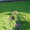 Excavation photograph, Nearby stone and depression taken from W, Keas Cottage, Spinningdale, Highlands