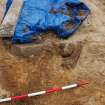 Excavation photograph, Cap stones collapsed on cist taken from N, Keas Cottage, Spinningdale, Highlands