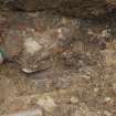 Excavation photograph, Exposing bones - working shot, Keas Cottage, Spinningdale, Highlands