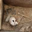 Excavation photograph, Detail of skull area, Beaker and pillow stone, Keas Cottage, Spinningdale, Highlands