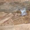 Excavation photograph, Detail of skeleton and soil under skull (012) taken from W, Keas Cottage, Spinningdale, Highlands