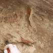 Excavation photograph, Working shot, Keas Cottage, Spinningdale, Highlands