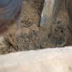 Excavation photograph, Cleaning Beaker, Keas Cottage, Spinningdale, Highlands