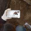 Excavation photograph, Beaker fragments - detail, Keas Cottage, Spinningdale, Highlands