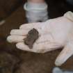 Excavation photograph, Detail of Beaker, Keas Cottage, Spinningdale, Highlands