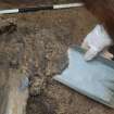 Excavation photograph, Lifting Beaker, Keas Cottage, Spinningdale, Highlands