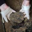 Excavation photograph, Lifting Beaker, Keas Cottage, Spinningdale, Highlands