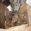 Excavation photograph, Lifting Beaker, Keas Cottage, Spinningdale, Highlands