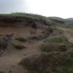 Excavation photograph, Exposed bones in location context taken from NW, Farr by Bettyhill, Sutherland, Highland