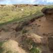 Excavation photograph, General view of location of bones taken from S, Farr by Bettyhill, Sutherland, Highland