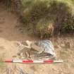 Excavation photograph, Site of bones removed by police taken from W, Farr by Bettyhill, Sutherland, Highland