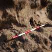 Excavation photograph, Burrows on west face of dune taken from W, Farr by Bettyhill, Sutherland, Highland