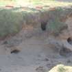 Excavation photograph, Burrows on west face of dune taken from NW, Farr by Bettyhill, Sutherland, Highland