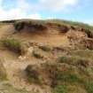 Excavation photograph, View to south of site taken from N, Farr by Bettyhill, Sutherland, Highland