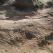 Excavation photograph, Site after removal of turf hummocks taken from NW, Farr by Bettyhill, Sutherland, Highland