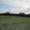 Survey photograph, West facing elevation taken from W, Walled Garden, Dumfries House, Cumnock, East Ayrshire