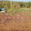 Watching Brief photograph, E facing, Kirtlebridge Marquess SPS Pipeline, Dumfries and Galloway