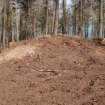 Excavation photograph, Pre-excavation and exposure of cist, Torbreck Cist, Inverness