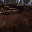 Excavation photograph, Initial cleaning and pre-full exposure, Torbreck Cist, Inverness