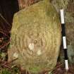 Digital photograph of panel in context with scale, from Scotland’s Rock Art Project, Kirkdale House 1, Dumfries and Galloway