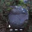 Digital photograph of perpendicular to carved surface(s), from Scotland's Rock Art Project, Castleton 7, Stirling