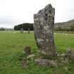 Digital photograph of panel in context without scale, Scotland's Rock Art Project, Nether Largie Central Standing Stone, Kilmartin, Argyll and Bute