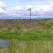 Yellow Flags Marking the Hanoverian Lines at Culloden