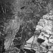 Rumbling Bridge, Dunkeld