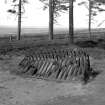 The Gathering Stone, Sheriffmuir