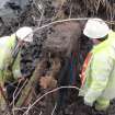 Watching Brief photograph, Removing stones taken from SW, The Helix, Forth and Clyde Canal, Falkirk