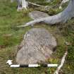 Digital photograph of panel to north, from Scotland's Rock Art Project, Ormaig 3, Kilmartin, Argyll and Bute