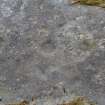 Digital photograph perpendicular to carved surface(s), Scotland's Rock Art Project, Stillaig 1, Cowal, Argyll and Bute