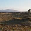 View of standing stone, building and enclosure from W